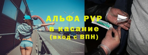 PSILOCYBIN Заволжье