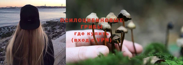 сатива Заволжск
