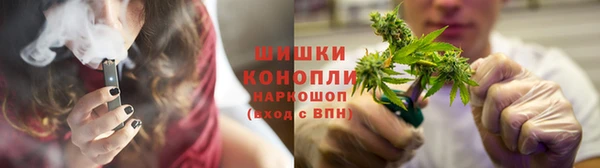 сатива Заволжск