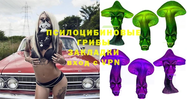 PSILOCYBIN Заволжье