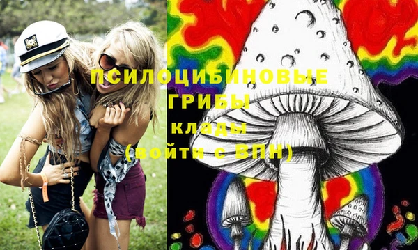 PSILOCYBIN Заволжье