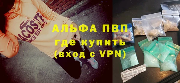 PSILOCYBIN Заволжье