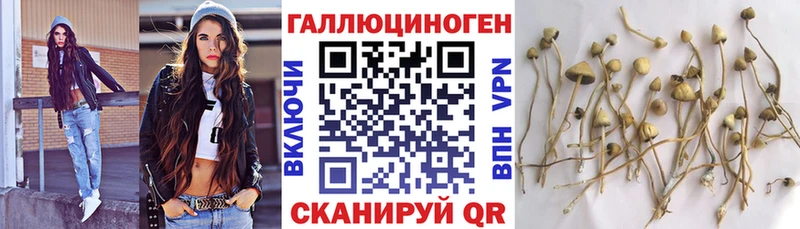Галлюциногенные грибы Psilocybine cubensis  Купить закладки  Качканар 